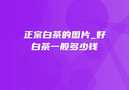 正宗白茶的图片_好白茶一般多少钱