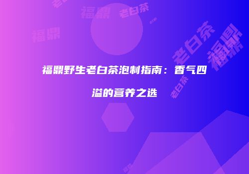 福鼎野生老白茶泡制指南：香气四溢的营养之选