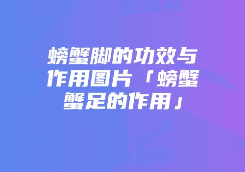 螃蟹脚的功效与作用图片「螃蟹蟹足的作用」