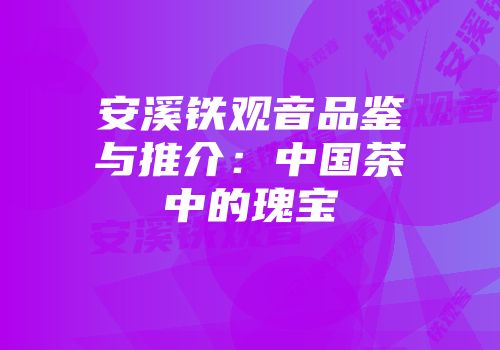 安溪铁观音品鉴与推介：中国茶中的瑰宝