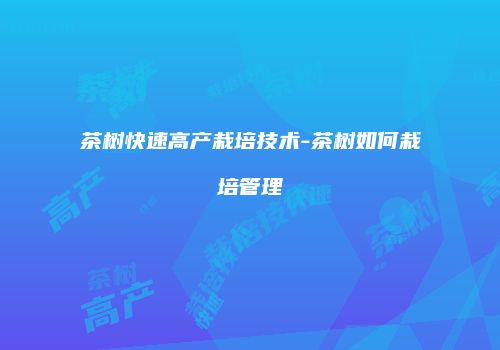 茶树快速高产栽培技术-茶树如何栽培管理