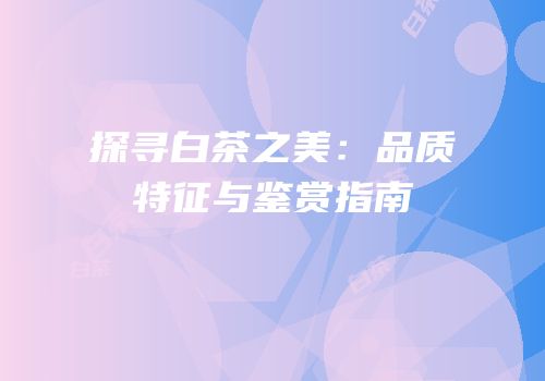探寻白茶之美：品质特征与鉴赏指南