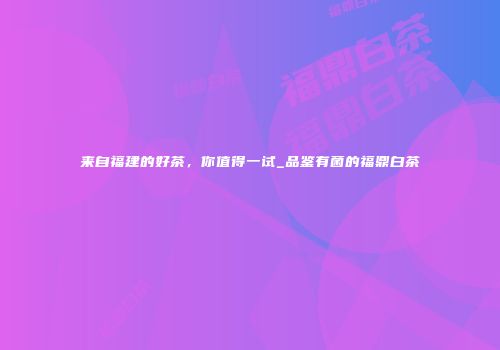 来自福建的好茶，你值得一试_品鉴有菌的福鼎白茶
