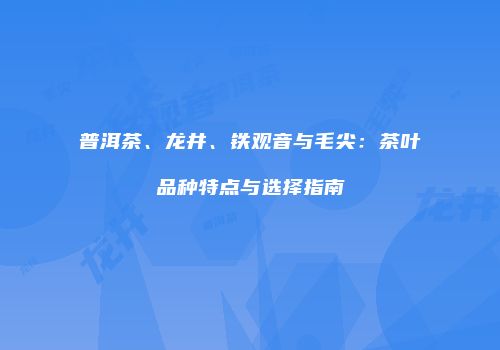 普洱茶、龙井、铁观音与毛尖：茶叶品种特点与选择指南