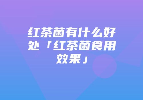 红茶菌有什么好处「红茶菌食用效果」
