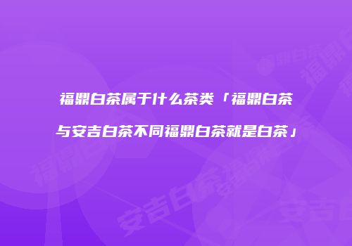 福鼎白茶属于什么茶类「福鼎白茶与安吉白茶不同福鼎白茶就是白茶」