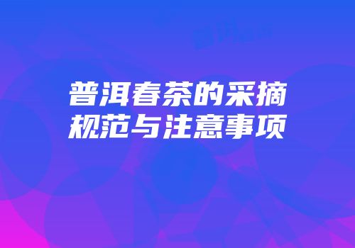 普洱春茶的采摘规范与注意事项