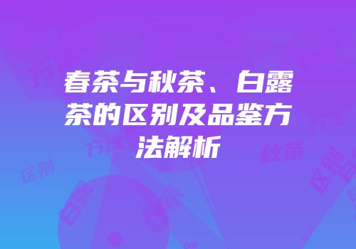 春茶与秋茶、白露茶的区别及品鉴方法解析