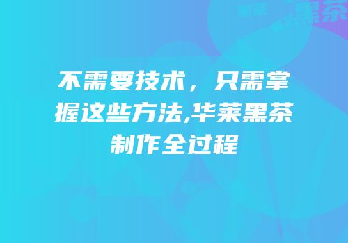 不需要技术，只需掌握这些方法,华莱黑茶制作全过程