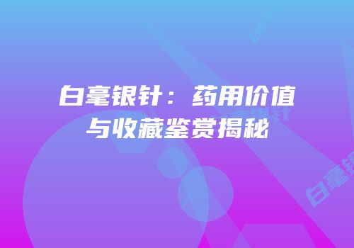 白毫银针：药用价值与收藏鉴赏揭秘
