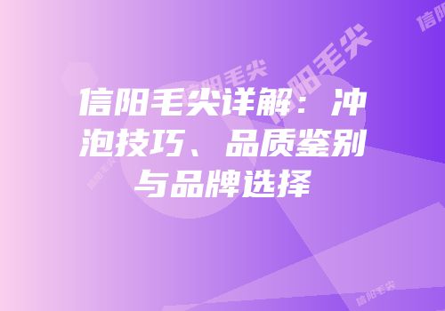 信阳毛尖详解：冲泡技巧、品质鉴别与品牌选择