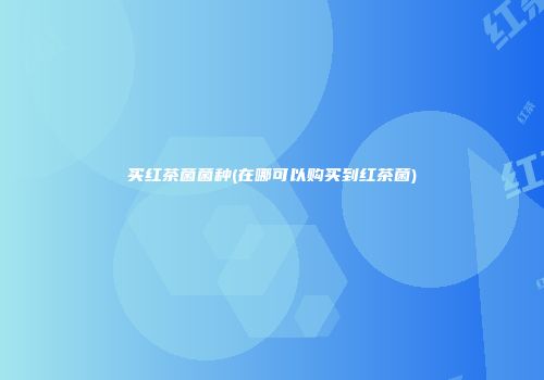 买红茶菌菌种(在哪可以购买到红茶菌)