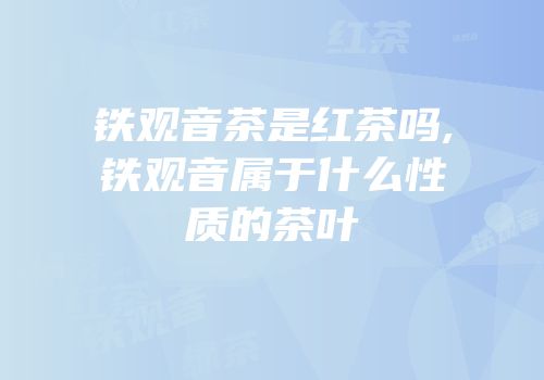 铁观音茶是红茶吗,铁观音属于什么性质的茶叶