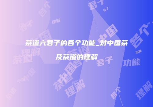 茶道六君子的各个功能_对中国茶及茶道的理解