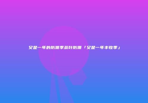 又是一年的防潮季茶叶防潮「又是一年丰收季」
