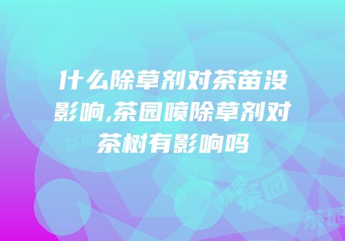 什么除草剂对茶苗没影响,茶园喷除草剂对茶树有影响吗
