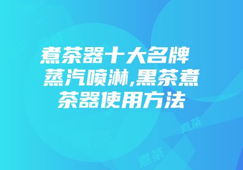 煮茶器十大名牌 蒸汽喷淋,黑茶煮茶器使用方法