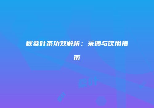 秋桑叶茶功效解析：采摘与饮用指南