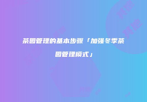 茶园管理的基本步骤「加强冬季茶园管理模式」