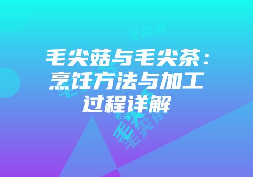毛尖菇与毛尖茶：烹饪方法与加工过程详解