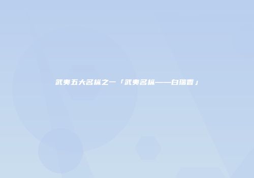 武夷五大名枞之一「武夷名枞——白瑞香」