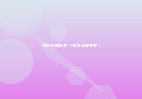 茶叶发酵种花「茶叶发酵养花」