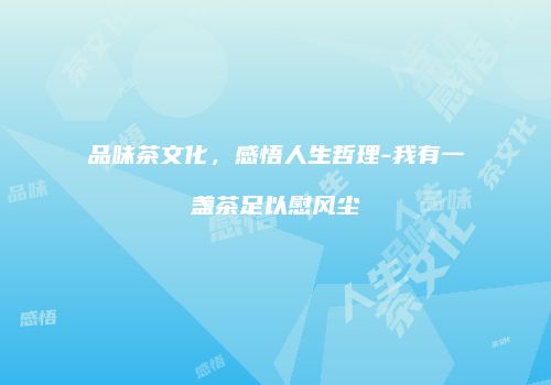 品味茶文化，感悟人生哲理-我有一盏茶足以慰风尘