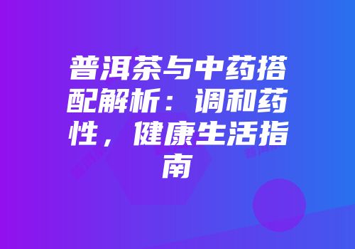 普洱茶与中药搭配解析：调和药性，健康生活指南