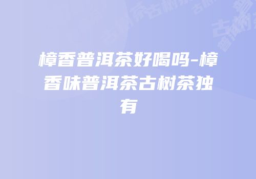 樟香普洱茶好喝吗-樟香味普洱茶古树茶独有