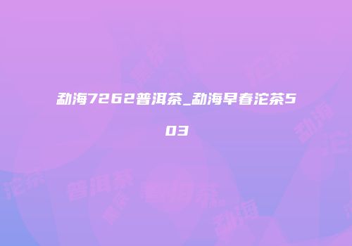 勐海7262普洱茶_勐海早春沱茶503