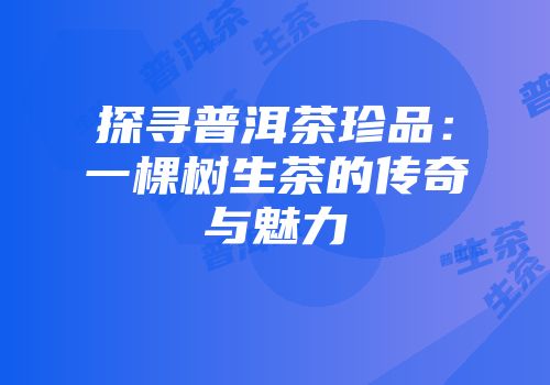 探寻普洱茶珍品：一棵树生茶的传奇与魅力