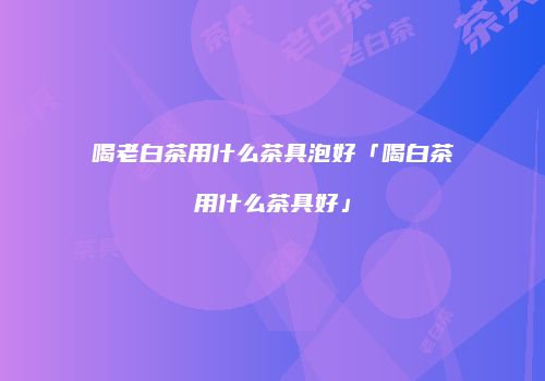 喝老白茶用什么茶具泡好「喝白茶用什么茶具好」