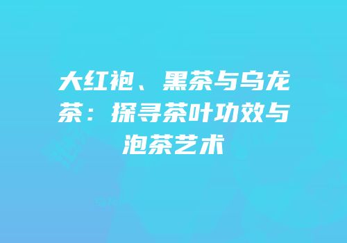 大红袍、黑茶与乌龙茶：探寻茶叶功效与泡茶艺术