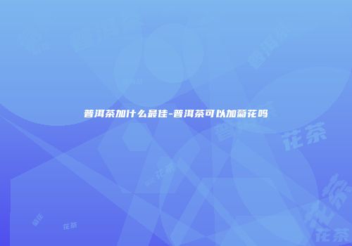 普洱茶加什么最佳-普洱茶可以加菊花吗