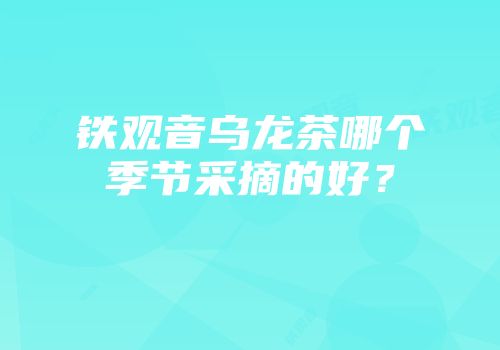 铁观音乌龙茶哪个季节采摘的好？
