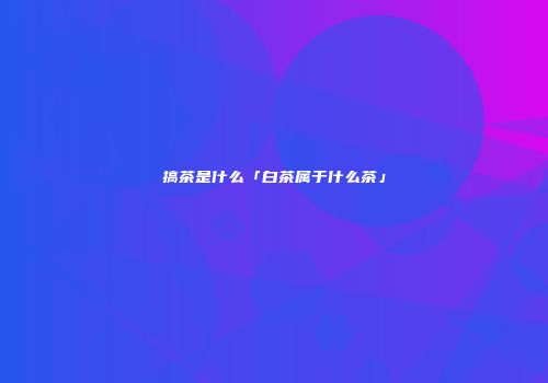 搞茶是什么「白茶属于什么茶」
