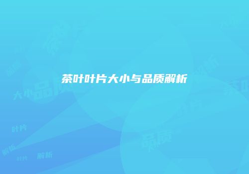 茶叶叶片大小与品质解析