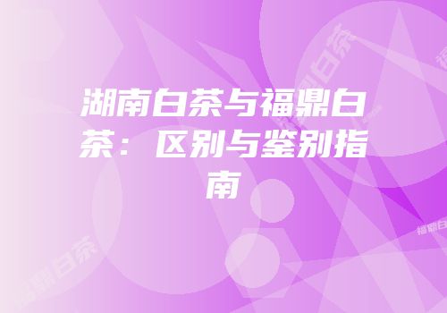 湖南白茶与福鼎白茶：区别与鉴别指南