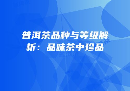 普洱茶品种与等级解析：品味茶中珍品