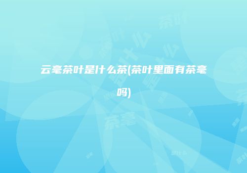 云毫茶叶是什么茶(茶叶里面有茶毫吗)
