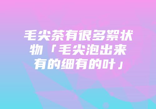 毛尖茶有很多絮状物「毛尖泡出来有的细有的叶」
