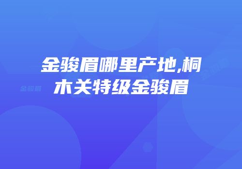 金骏眉哪里产地,桐木关特级金骏眉