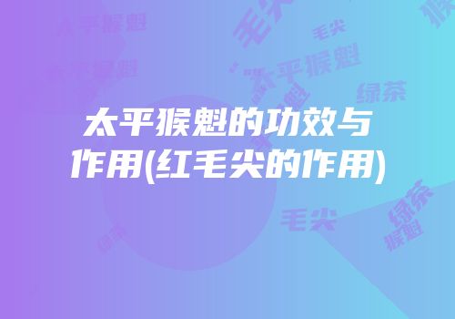 太平猴魁的功效与作用(红毛尖的作用)