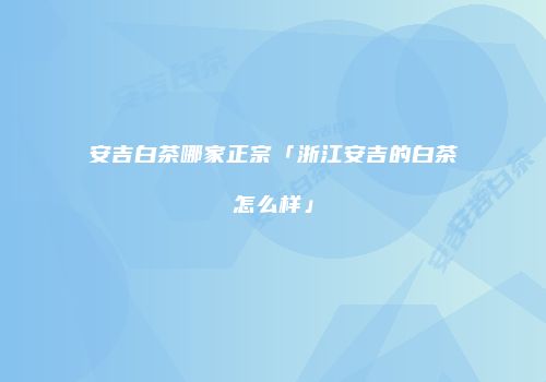 安吉白茶哪家正宗「浙江安吉的白茶怎么样」