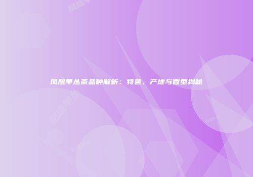 凤凰单丛茶品种解析：特色、产地与香型揭秘
