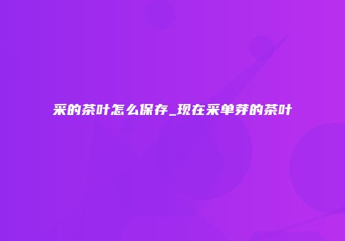 采的茶叶怎么保存_现在采单芽的茶叶