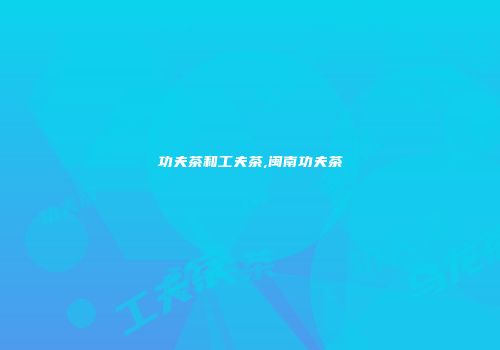 功夫茶和工夫茶,闽南功夫茶