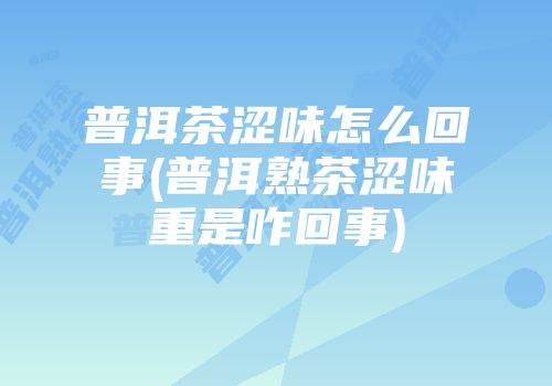 普洱茶涩味怎么回事(普洱熟茶涩味重是咋回事)