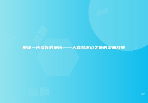 探秘一片茶叶的来历——大森林深山之处的茶园故事