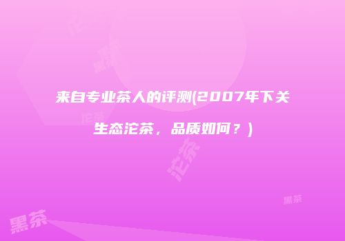 来自专业茶人的评测(2007年下关生态沱茶，品质如何？)